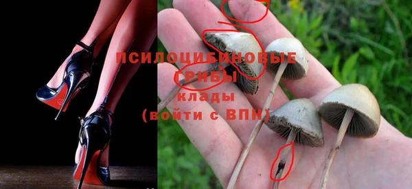 дмт Надым