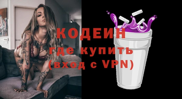 индика Михайловск