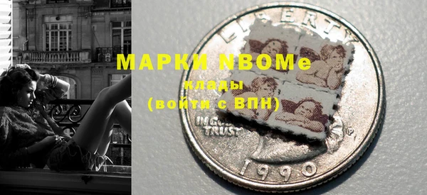 индика Михайловск