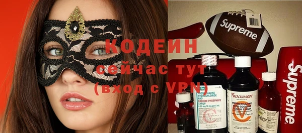 индика Михайловск