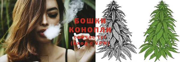 дмт Надым